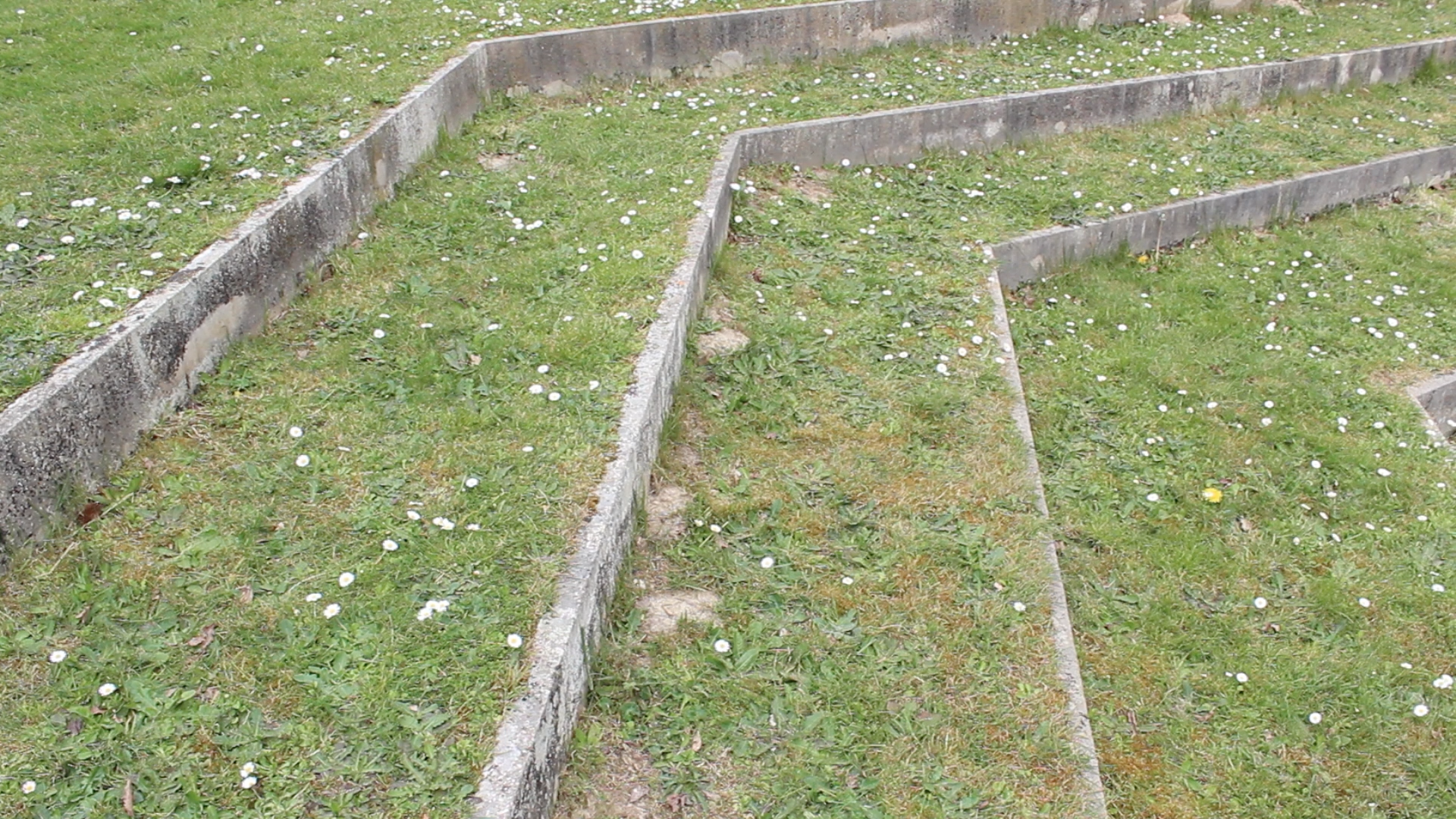 Screen Shot 2016-06-21 at 12.02.38 AM